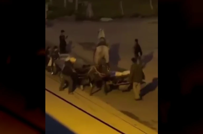 Atlara işkence kamerada
