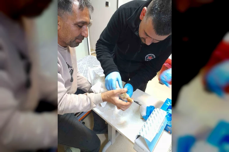 Atmacanın saldırdığı yavru kazı devlet hastanesine götürdü: İlk müdahaleyi güvenlik görevlisi yaptı
