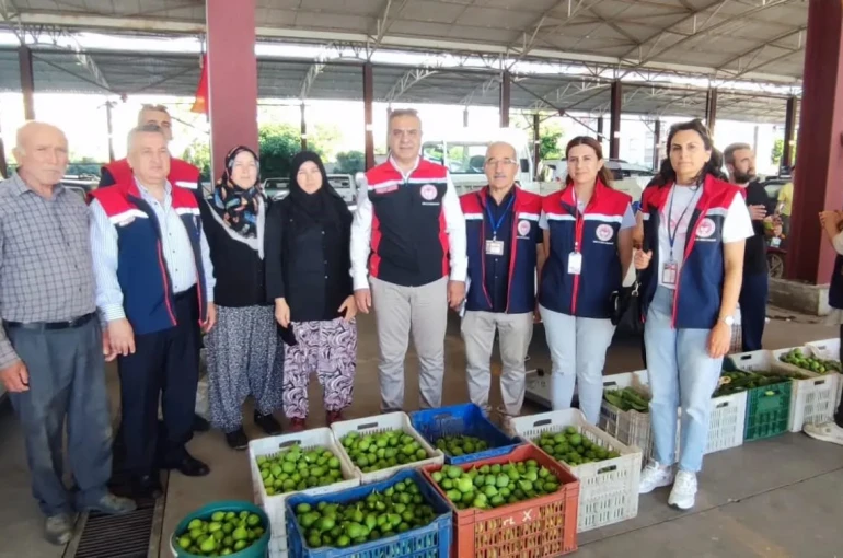 Aydın inciri için denetimler sürüyor
