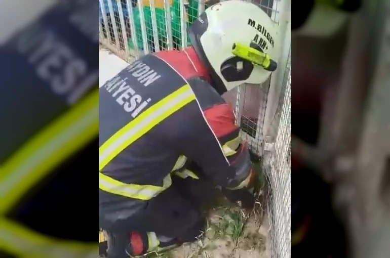 Aydın itfaiyesinden kirpi operasyonu