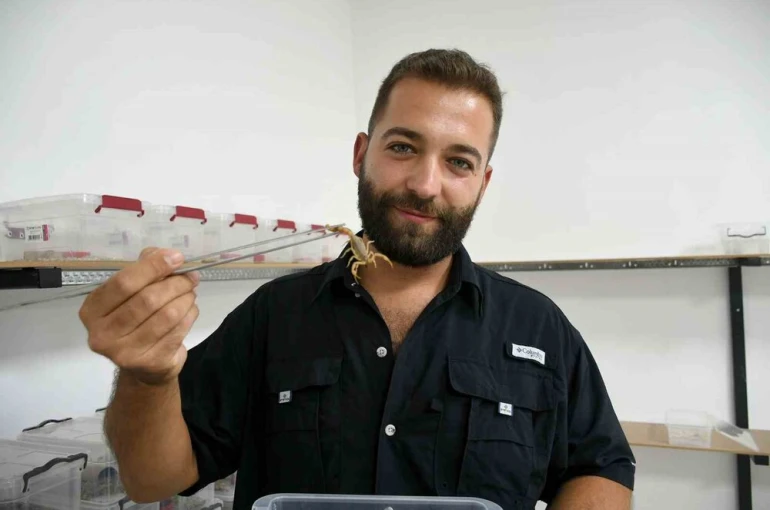 Aydın’da 750 akrepten 4 ayda 4 bin yavru elde etti