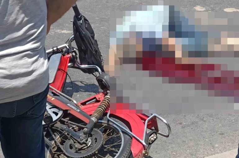 Aydın’da trafik kazası: 1 ölü