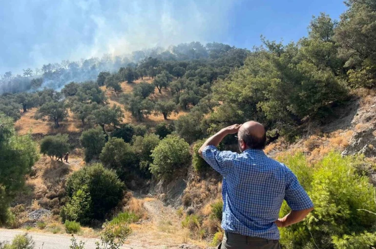 Aydın’da zirai alan yangını: 30 dönüm alan zarar gördü 
