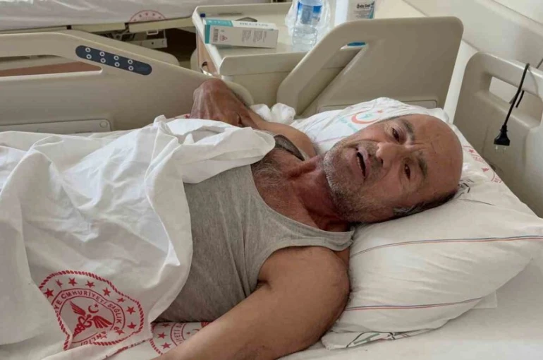 Ayı saldırısına uğradı: Canını ağaca tırmanarak kurtardı