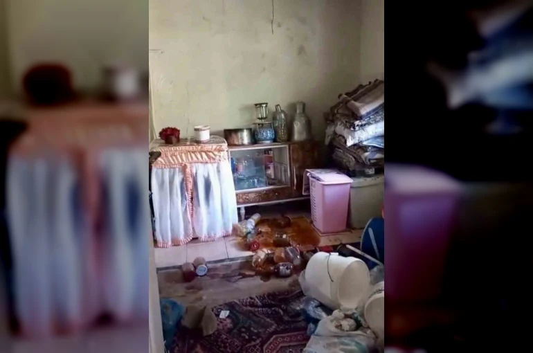 Ayılar yerleşim alanlarına indi, yöre halkı endişeli