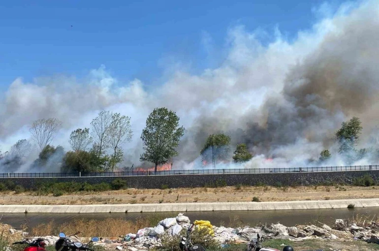 Ayvacık’ta çöplük alanda çıkan yangın ormana sıçradı