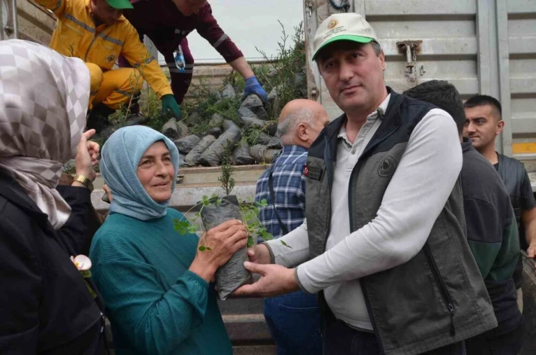 Bafra’da fidan dağıtımı