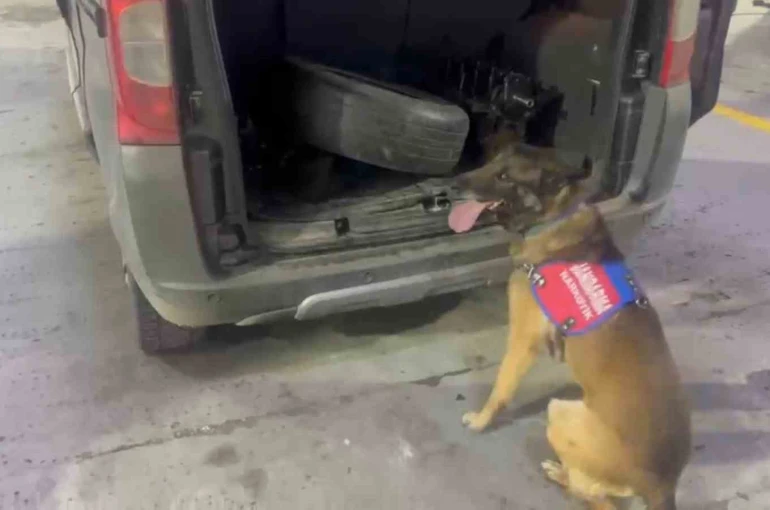 Bagaj ve kaputa gizlenen uyuşturucuyu narkotik köpeği ‘Ayar’ buldu