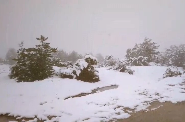 Baharı beklerken kar geldi