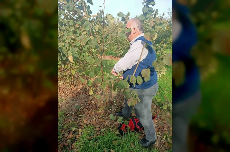 Bahçelerde toprak analizi ve zararlı tespiti