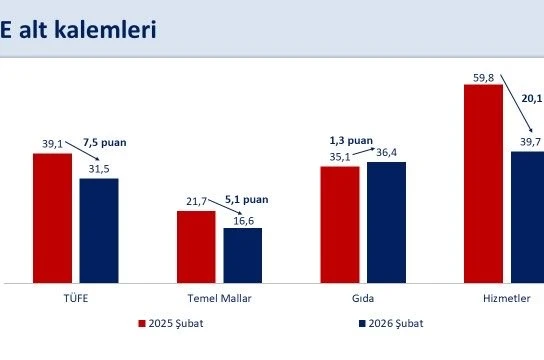 Bakan Şimşek: "Şubatta aylık enflasyon yüzde 2,96 gerçekleşti"