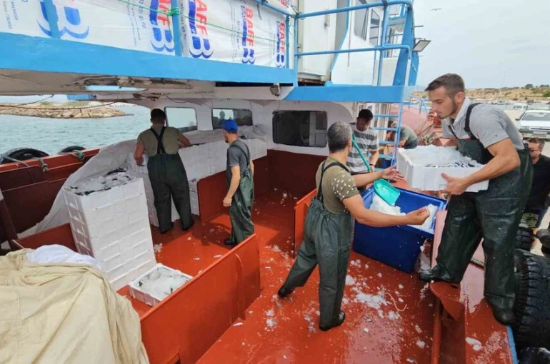 Balık fiyatları 1 ay sonra ucuzlayacak