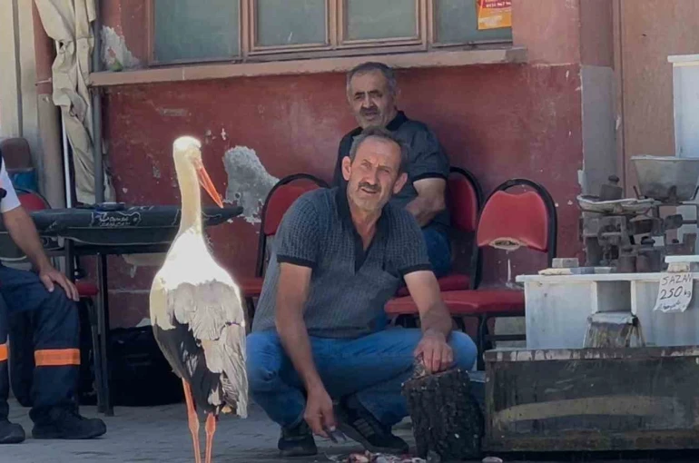 Balıkçı Ahmet ile leyleğin 10 yıllık kahvehane randevusu