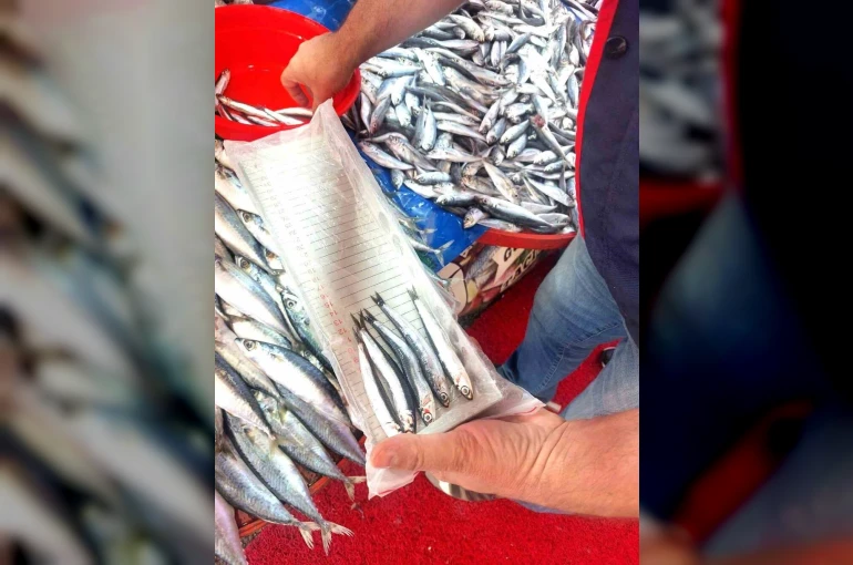 Balıkçı esnafına yönelik denetim