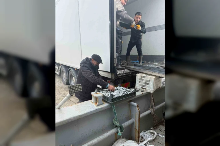Balıkçı Ramazan’da ücretsiz hamsi dağıttı