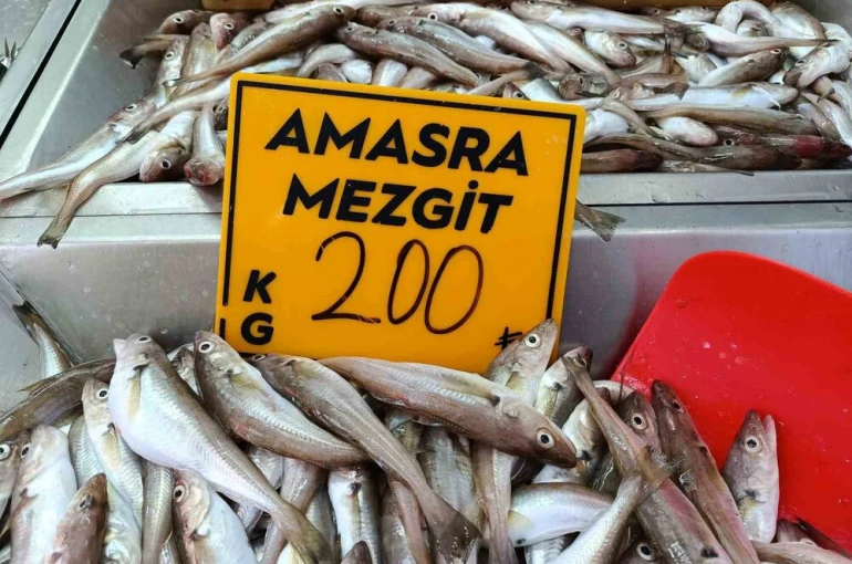 Balıkçılar palamut için "kestane karası"nı bekliyor