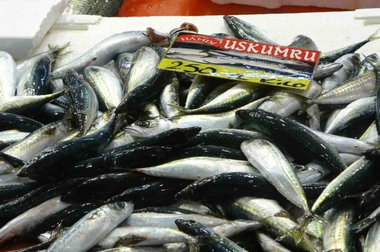 Balıkçılardan müjde: Fiyatlar düştü, ekimde bolluk bekleniyor