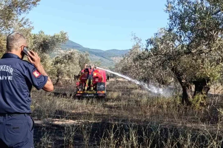 Balıkesir Ziraat Odası Başkanı Demirbay: "Bir yıllık emek bir sigara izmaritiyle kül olmasın"