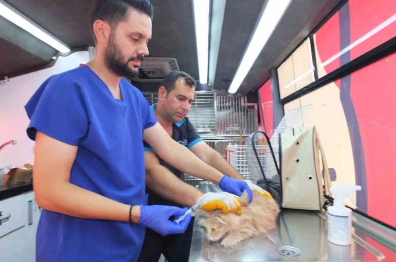 Balıkesir’de Can Dost 18 bin sokak hayvanına sağlık hizmeti verdi