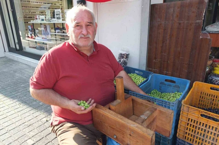 Balıkesir’de kırma zeytinlerin hazırlanmasına başlandı
