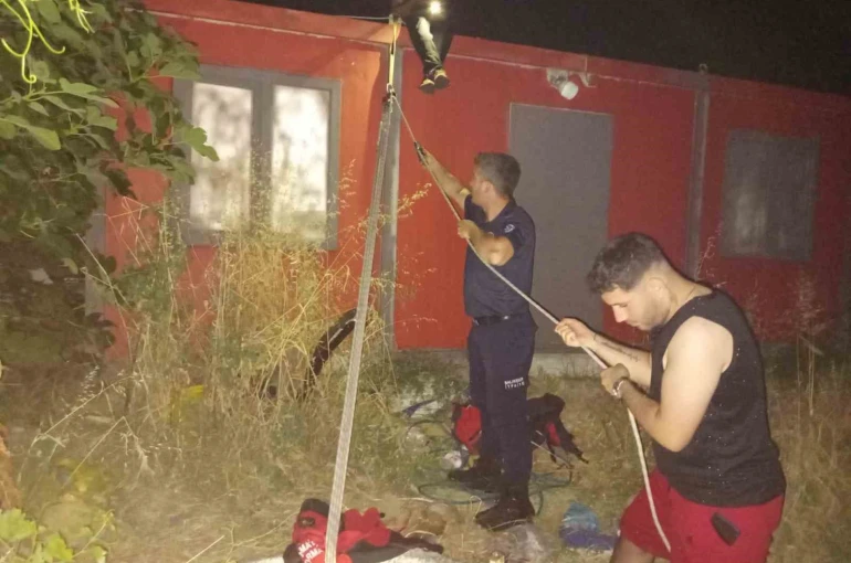 Balıkesir’de kuyuya düşen yavru kedi kurtarıldı