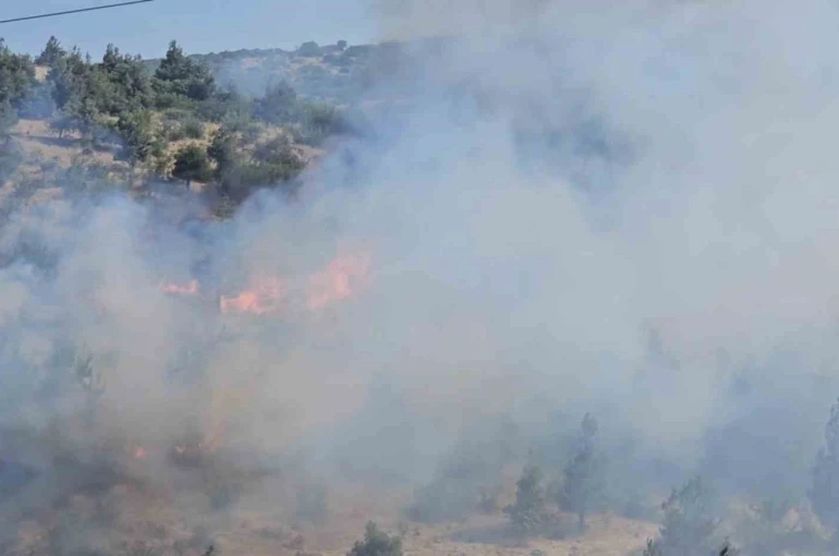Balıkesir’de otluk ve koruluk alanda yangın