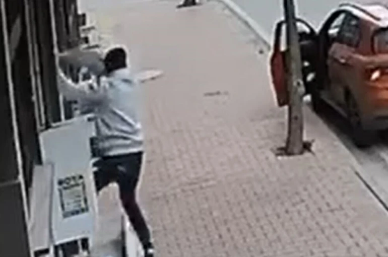 Balkona tırmanıp cins kediyi çaldı