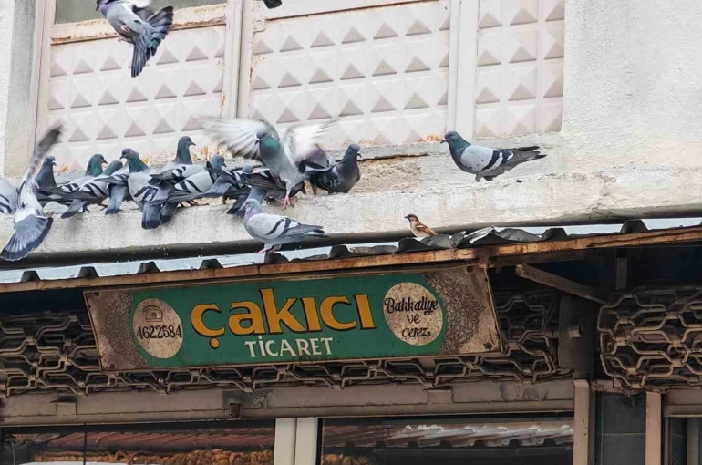 Balkonunu kuşlara sofra yaptı: Demircili esnaftan örnek davranış