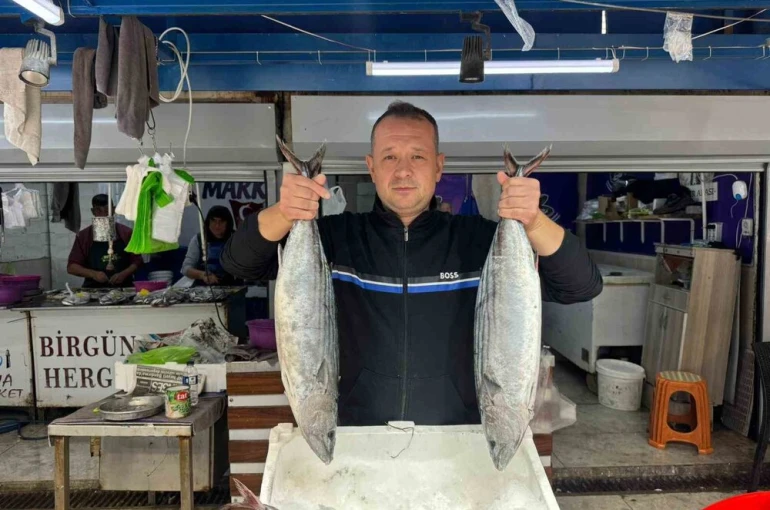 Bandırma Balık Hali’nde sezon hareketliliği başladı