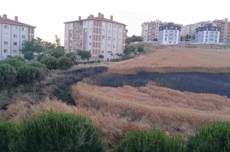 Bandırma’da buğday tarlası yangını korkuttu