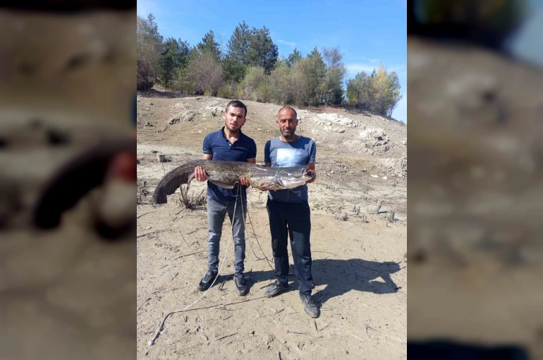 Baraj gölünde dev yayın balığı yakaladılar