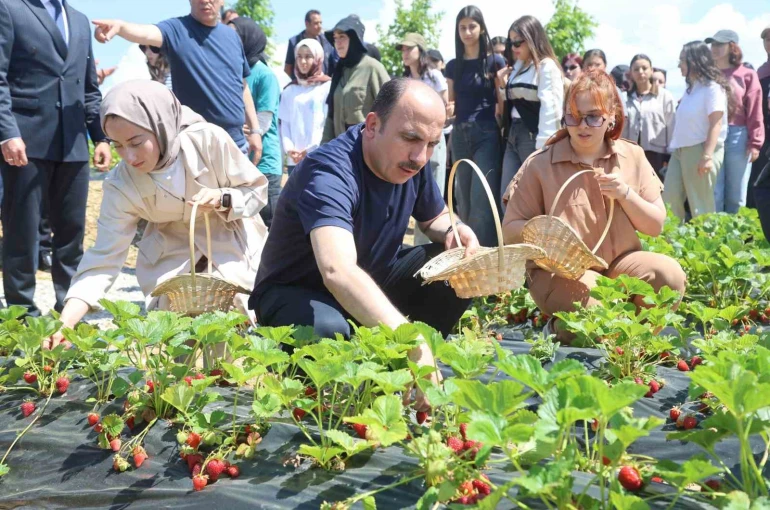 Başkan Altay, 2027 yılı tarımsal destek başvurularının 1 Temmuz’da başlayacağını duyurdu
