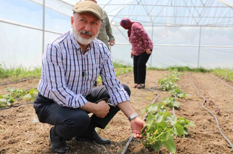 Başkan Çolakbayrakdar: "Şehrin merkezinde tarım yapıyoruz, Türkiye’ye örnek oluyoruz"