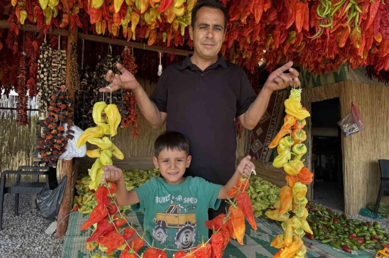 Başkan Sağınç tescilli Kale Biberini tanıtmak için ailesiyle birlikte kolları sıvadı