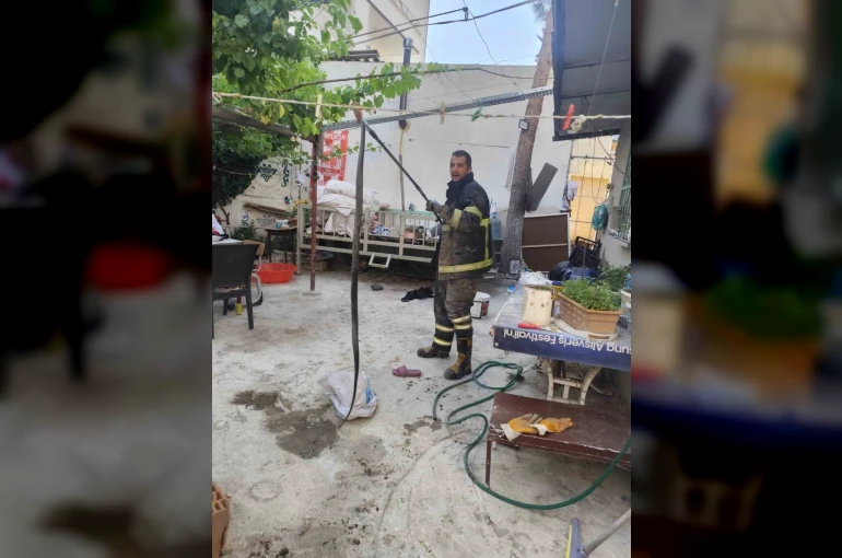 Batman’da evin bahçesine giren yılan paniğe neden oldu