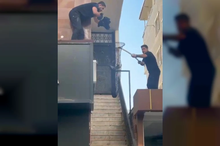 Batman’da metruk binada kilitli kalan 5 yavru kedi kurtarıldı