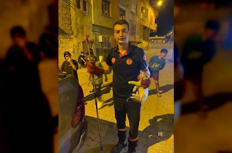 Batman’da pano içinde mahsur kalan kedileri itfaiye ekipleri kurtardı 