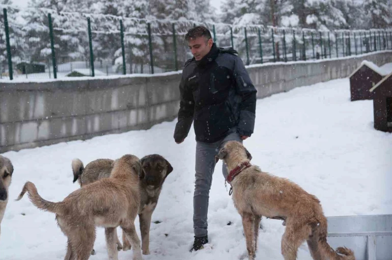 Battalgazi’de Malatya’nın ikinci hayvan barınağı hizmete başladı 