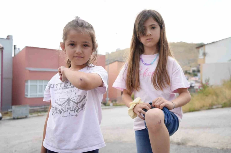 Bayburt’a tatile gelen iki kuzen köpeklerden kaçarken yaralandı