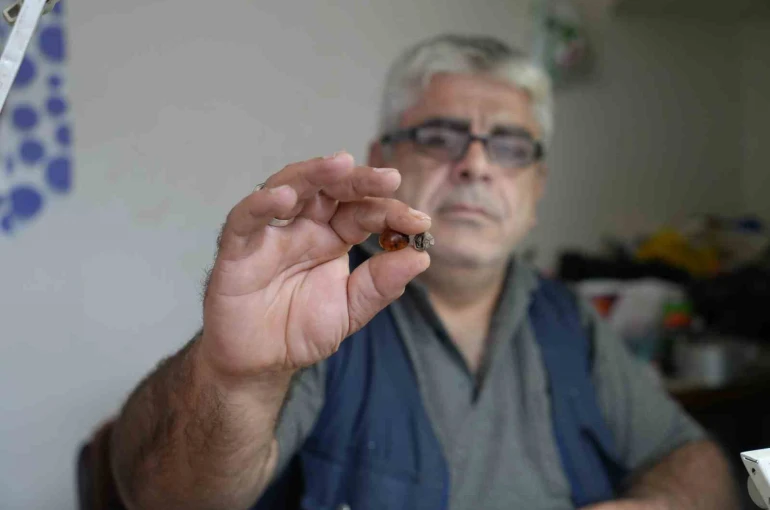 Bayburtlu kehribar ustası işlediği taşta milyonlarca yıllık böcek fosili buldu