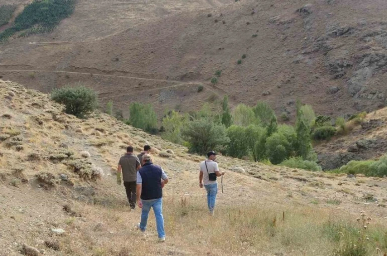 Bayburt’ta annesini kaybeden yavru ayı köyü alarma geçirdi