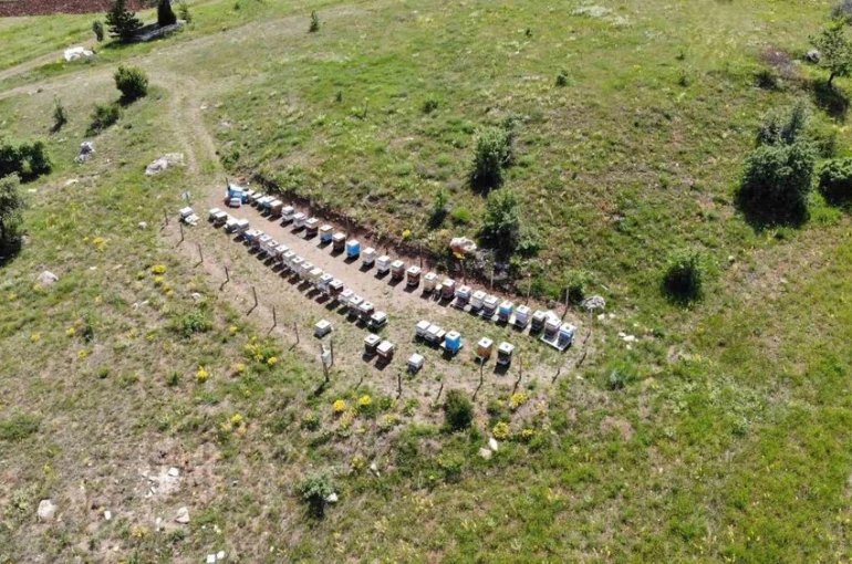 Bayburt’ta arılı kovan destekleme müracaatları başladı