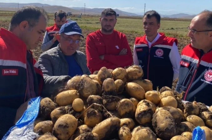 Bayburt’ta patates hasadına başlandı