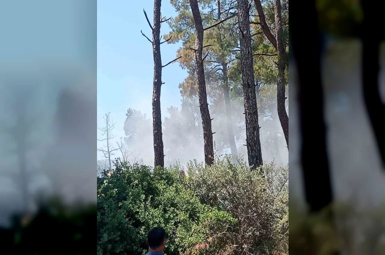 Bayındır’da orman yangını kontrol altında