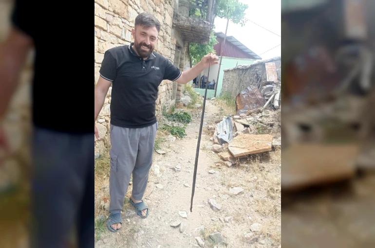 Baykan’da yılan paniği