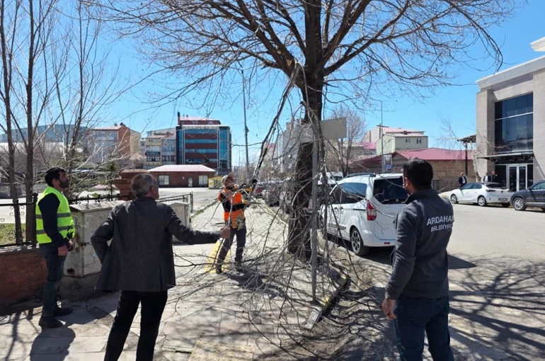 Belediye ekiplerinden ağaç budama çalışması