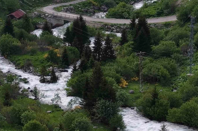 Beyaz örtü kalktı, Rize yaylaları yeşile büründü 