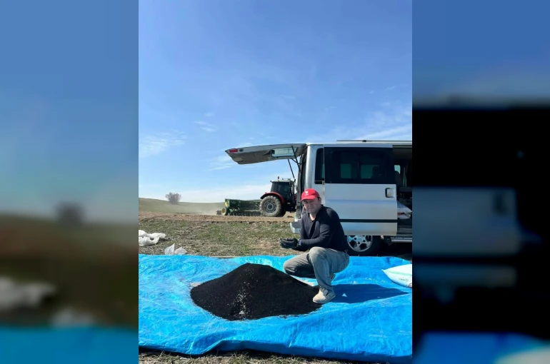 Beypazarı’nda çörek otu ekimi başladı