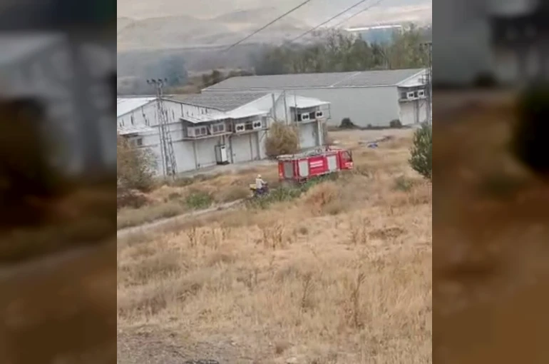 Beypazarı’nda otluk alanda yangın