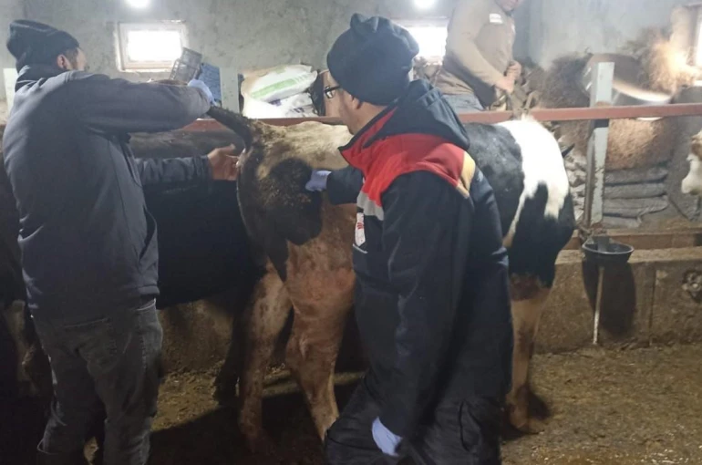 Beyşehir’de şap ile mücadelede çalışmaları